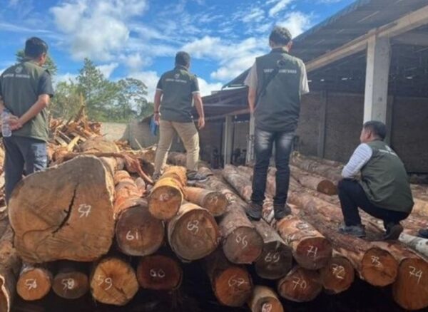 Penemuan Tumpukan Batang Kayu Di Humbang Hasundutan Diduga Ilegal,Telah Terungkap Oleh Dinas Kehutanan Sumut