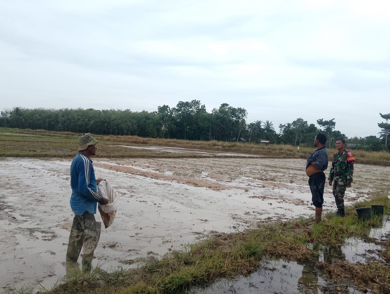 Komsos Dengan Petani, Babinsa Beri Motivasi Serta Semangat Petani
