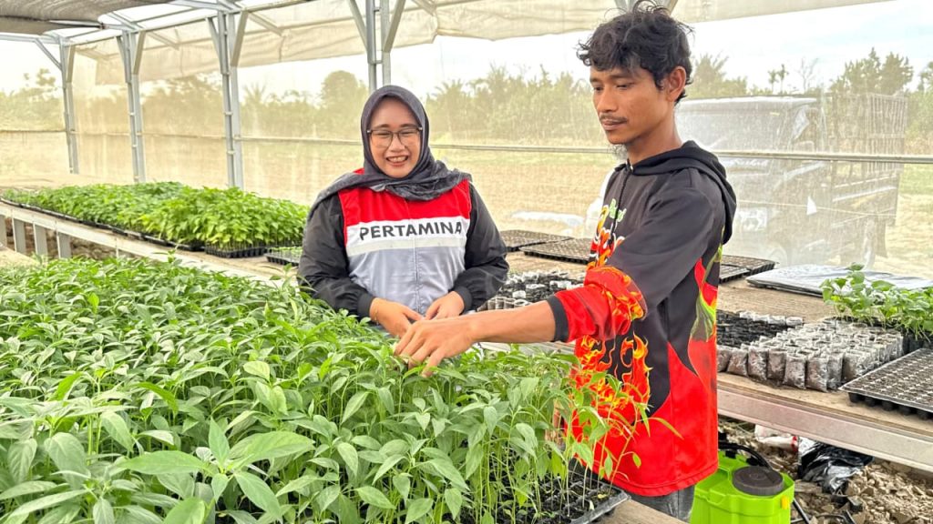 Harapan yang Disemai dari Pohon Cabai: Kisah Abdul Rozzaq, Kepala Keluarga Penyintas Banjir Sumatera Seorang petani, Abdul Rozzaq Mubaroq mengecek tanaman hortikultur di lahan pertaniannya di Kampung Tanjung Seumantoh, Kecamatan Karang Baru, Aceh Tamiang. Ia bangkit kembali menanam cabai dan tomat setelah lahan pertaniannya diterjang banjir bandang pada November 2025.