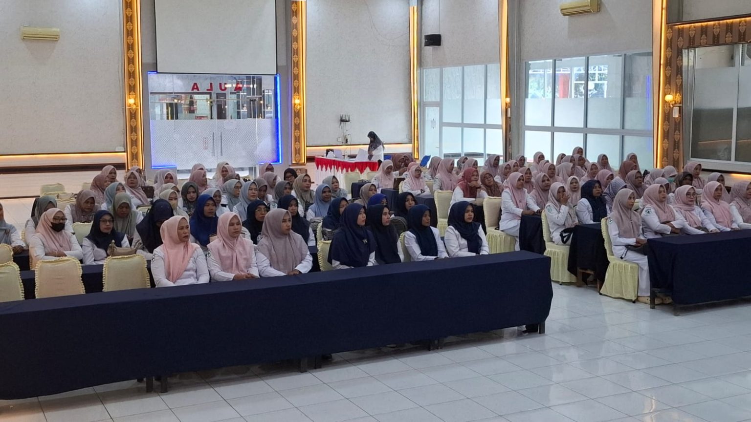 Orientasi Pembinaan Posyandu Dibuka, Bidan Desa di Bireuen Diharapkan Perkuat Peran Garda Terdepan Kesehatan