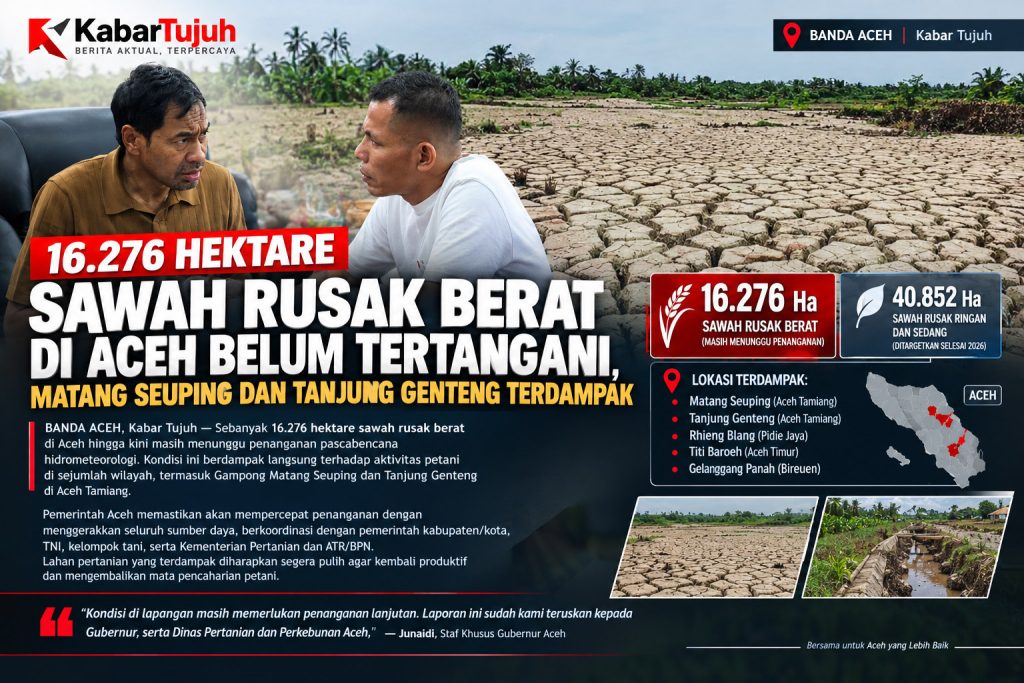 16.276 Hektare Sawah Rusak Berat di Aceh Belum Tertangani, Matang Seuping dan Tanjung Genteng Terdampak